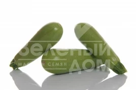 Семена кабачков Азиад F1 / Aziad F1,30-35 дней купить оптом и в розницу в Украине по выгодной цене