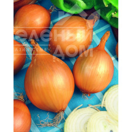 Цибуля ріпчаста Вшетана / Vshetana купити оптом і в роздріб в Україні за вигідною ціною