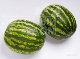 Насіння кавуна Топ Ган F1 / Top Han F1,62-64 дні купити оптом і в роздріб в Україні за вигідною ціною