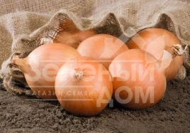 Лук репчатый Роухайд F1 / Rawhide F1,110 дней купить оптом и в розницу в Украине по выгодной цене