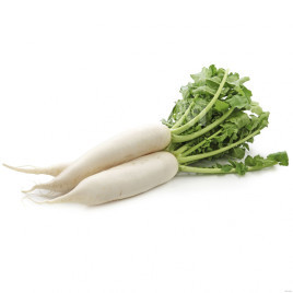 Насіння редьки Япана F1 / Japana F1,55-60 днів купити оптом і в роздріб в Україні за вигідною ціною