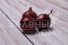 Лук репчатый Тимур F1 (LS 5612) / Timur F1 (LS 5612) купить оптом и в розницу в Украине по выгодной цене