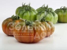 Семена томатов Марсалато F1 / Marsalato F1 купить оптом и в розницу в Украине по выгодной цене