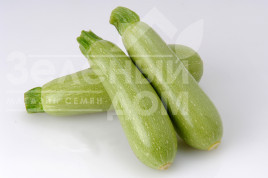 Насіння кабачків Арал F1 / Aral F1,30-32 дні купити оптом і в роздріб в Україні за вигідною ціною