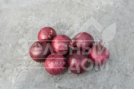 Лук репчатый Робин / Robin,110-115 дней купить оптом и в розницу в Украине по выгодной цене