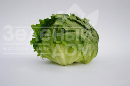 Насіння салату Руморс / Rumours,45 днів купити оптом і в роздріб в Україні за вигідною ціною