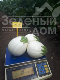 Насіння баклажанів ЦРХ 50189 F1 / CRX 50189 F1 купити оптом і в роздріб в Україні за вигідною ціною