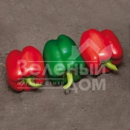 Семена сладкого перца Катан F1 / Katan F1 купить оптом и в розницу в Украине по выгодной цене