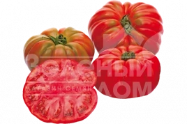 Семена томатов Ред Кой F1 / Red Coy F1,100-110 дней купить оптом и в розницу в Украине по выгодной цене