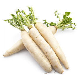 Насіння редьки Дайкон Міновезе / Daykon Minoveze купити оптом і в роздріб в Україні за вигідною ціною