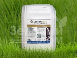 Протравитель Селест Макс 165 FS / Celest Maxx  165 FS купить оптом и в розницу в Украине по выгодной цене