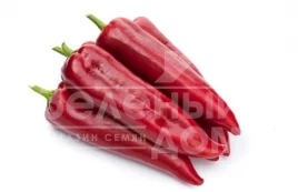 Семена сладкого перца Армагеддон F1 / Armageddon F1 купить оптом и в розницу в Украине по выгодной цене