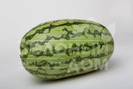 Семена арбуза Астерикс (LS 1805) F1 / Asterix  (LS 1805) F1 купить оптом и в розницу в Украине по выгодной цене