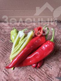 Насіння гіркого перцю Горн F1 / Horn F1, 50-55 днів купити оптом і в роздріб в Україні за вигідною ціною