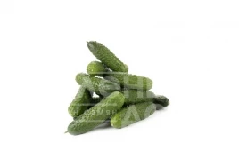 Семена огурцов Ромара F1 / Romara F1 купить оптом и в розницу в Украине по выгодной цене