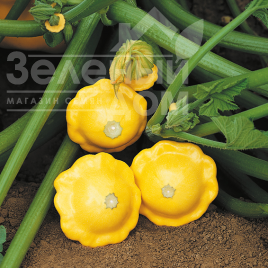 Насіння патисону Санбурст F1 / Sunburst F1,45-70 днів купити оптом і в роздріб в Україні за вигідною ціною