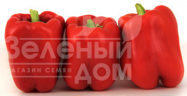 Насіння солодкого перцю ЛС 13110 F1 / LS 13110 F1,80-85 днів купити оптом і в роздріб в Україні за вигідною ціною