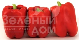 Насіння солодкого перцю ЛС 13110 F1 / LS 13110 F1, 80-85 днів купити оптом і в роздріб в Україні за вигідною ціною