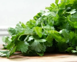 Семена кинзы (кориандра) Артика F1 / Artika F1 купить оптом и в розницу в Украине по выгодной цене