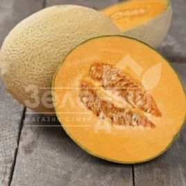 Семена дыни ЮГ 161 (Флоренция) F1 / UG 161 (Florencia) F1 купить оптом и в розницу в Украине по выгодной цене