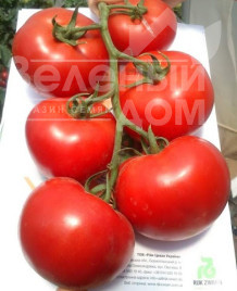 Насіння томатів Лілос F1 / Lilos F1,90-100 днів купити оптом і в роздріб в Україні за вигідною ціною