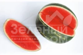 Семена арбуза Фасинейшн F1 / Fasineyshn F1,62-64 дня купить оптом и в розницу в Украине по выгодной цене