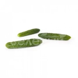 Семена огурцов Данди F1 / Dundee F1,40 дней купить оптом и в розницу в Украине по выгодной цене