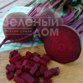 Насіння буряка Бетіна / Betina купити оптом і в роздріб в Україні за вигідною ціною