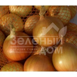 Лук репчатый Пантер F1 / Panther F1,270-290 дней купить оптом и в розницу в Украине по выгодной цене