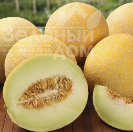 Насіння дині Галанет F1 / Galanet F1 купити оптом і в роздріб в Україні за вигідною ціною