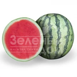 Семена арбуза Леопард F1 / Leopard F1 купить оптом и в розницу в Украине по выгодной цене