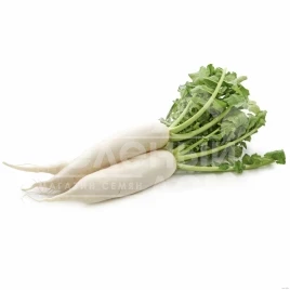 Семена редьки Япана F1 / Japana F1,55-60 дней купить оптом и в розницу в Украине по выгодной цене