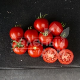 Семена томатов Шаста F1 / Shasta F1,85 дней купить оптом и в розницу в Украине по выгодной цене