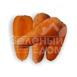 Семена моркови Шантане Роял / Shantane Royal,100-110 дней купить оптом и в розницу в Украине по выгодной цене