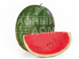 Насіння кавуна Карістан F1 / Karistan F1,64-67 днів купити оптом і в роздріб в Україні за вигідною ціною