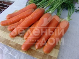 Семена моркови Анета F1 / Aneta F1,100-105 дней купить оптом и в розницу в Украине по выгодной цене
