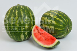 Насіння кавуна Барака F1 / Baraka F1, 62-64 дні купити оптом і в роздріб в Україні за вигідною ціною