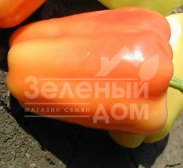 Семена сладкого перца Фламинго F1 / Flamingo F1,65 дней купить оптом и в розницу в Украине по выгодной цене
