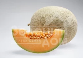 Семена дыни Карибиан Голд F1 / Carribean Gold F1,85 дней купить оптом и в розницу в Украине по выгодной цене