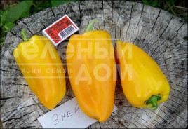 Насіння солодкого перцю Еней / Eney купити оптом і в роздріб в Україні за вигідною ціною