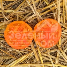 Семена томатов Солидо F1 / Solido F1,90 дней купить оптом и в розницу в Украине по выгодной цене