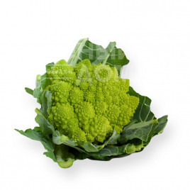Насіння капусти романеско Пунтоверде F1 / Puntoverde F1,75-85 днів купити оптом і в роздріб в Україні за вигідною ціною