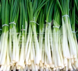 Лук на перо Кими F1 / Kimi F1 купить оптом и в розницу в Украине по выгодной цене