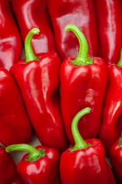 Семена сладкого перца Динамика F1 / Dinamica F1, 75-77 дней купить оптом и в розницу в Украине по выгодной цене