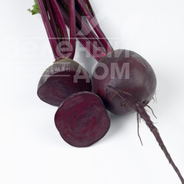 Насіння буряка Ред Хавк F1 / Red Hawk F1, 95-100 днів купити оптом і в роздріб в Україні за вигідною ціною