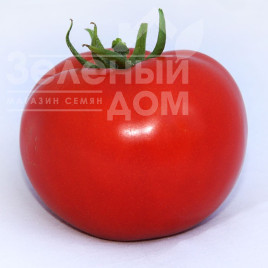 Насіння томатів Хітомакс F1 / Hitomaks F1,100-105 днів купити оптом і в роздріб в Україні за вигідною ціною