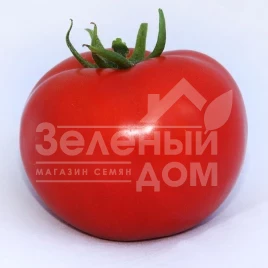 Семена томатов Хитомакс F1 / Hitomaks F1,100-105 дней купить оптом и в розницу в Украине по выгодной цене