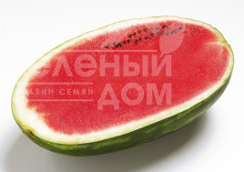 Насіння кавуна Фарао F1 / Farao F1,62-64 дні купити оптом і в роздріб в Україні за вигідною ціною