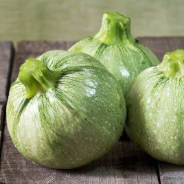 Насіння кабачків Раунд Б'юті F1 / Round Beauty F1 купити оптом і в роздріб в Україні за вигідною ціною