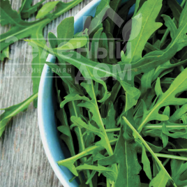 Насіння руколи Екстрема / Extrema, 20-25 днів купити оптом і в роздріб в Україні за вигідною ціною